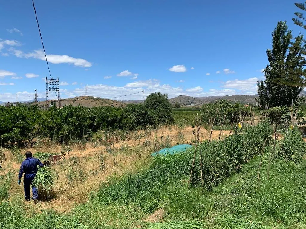 Complejo Rural Lo Arrabal Villa Málaga Tatil Evi