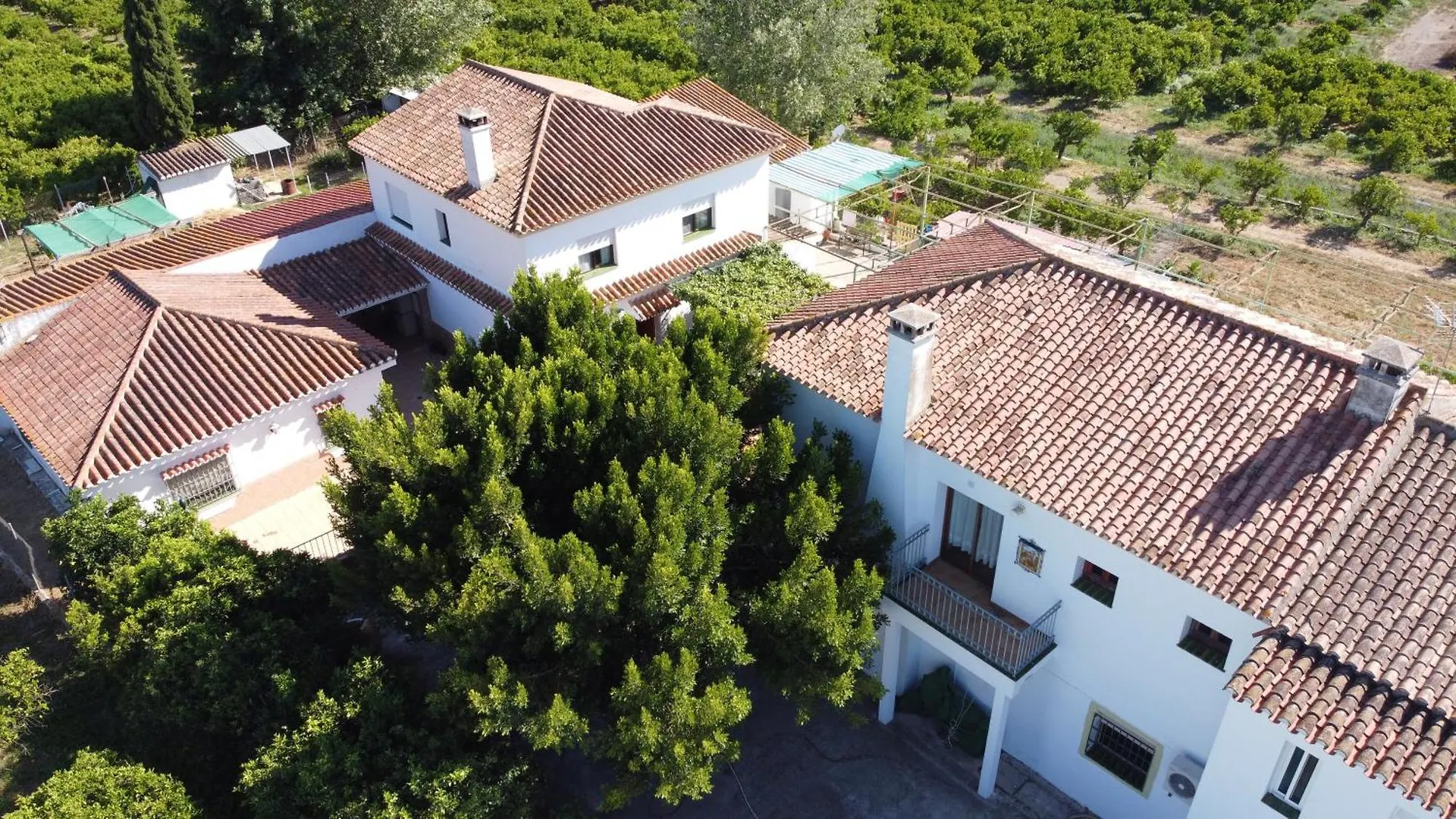 Complejo Rural Lo Arrabal Villa Málaga Tatil Evi