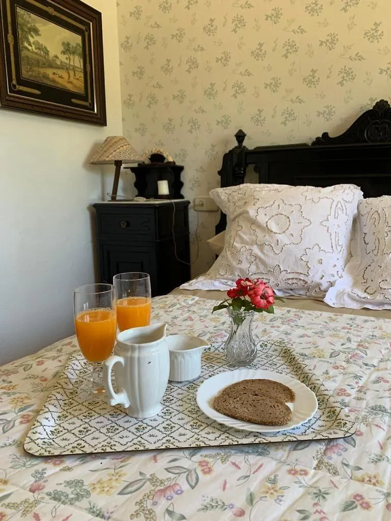 Complejo Rural Lo Arrabal Villa Málaga Tatil Evi