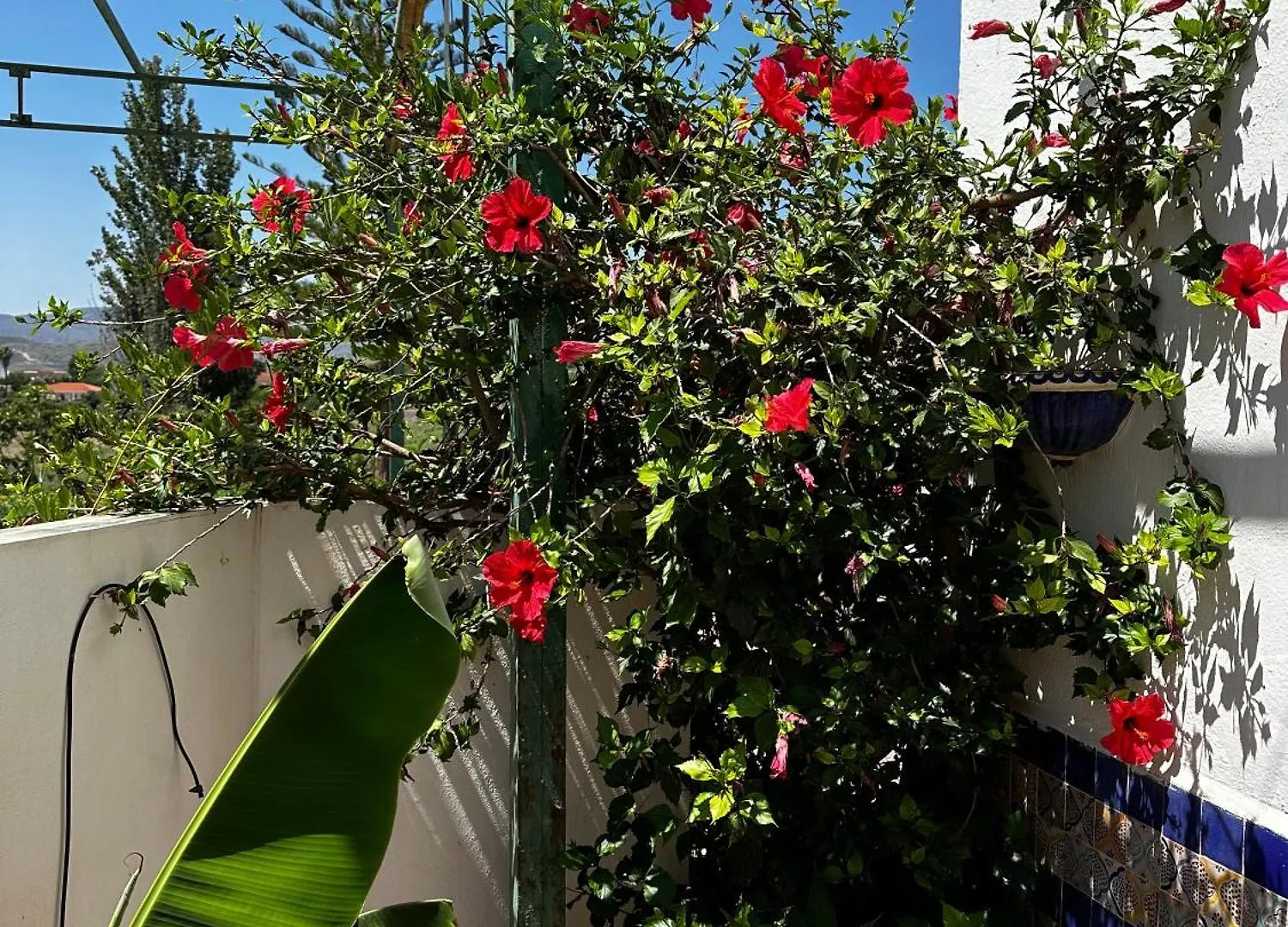 Complejo Rural Lo Arrabal Vila Málaga